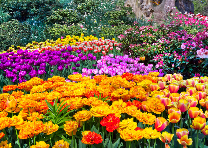 guide-til-den-indbydende-have