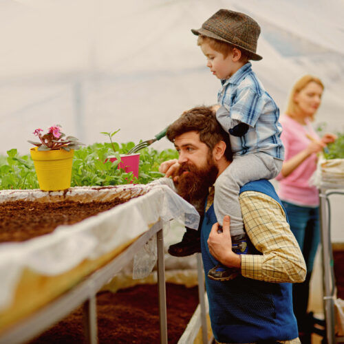 derfor-skal-du-faa-et-orangeri