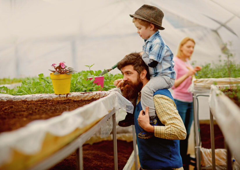 derfor-skal-du-faa-et-orangeri