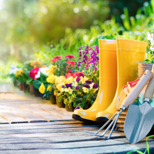 faa-droemmehaven-med-en-anlaegsgartner