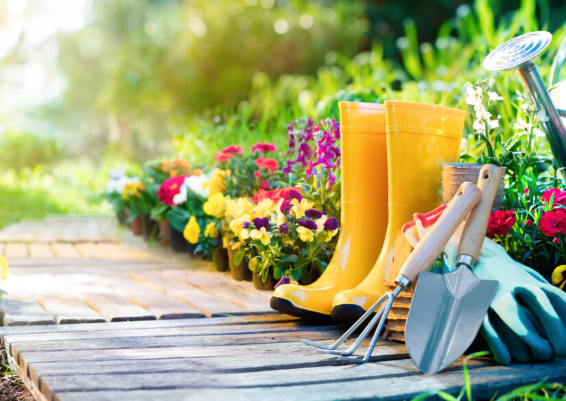 faa-droemmehaven-med-en-anlaegsgartner