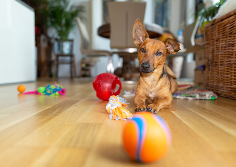 lav-personligt-dyrelegetoej-af-genbrugstoej