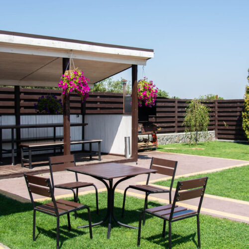 nyt-liv-i-haven