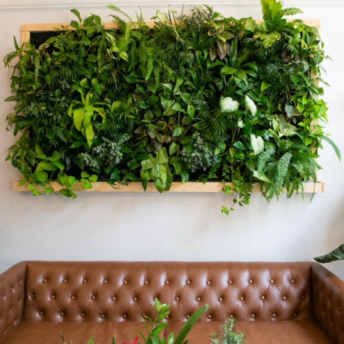 planter-til-plantevaeg
