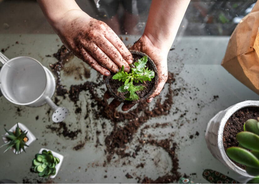 goer-det-selv-havearbejde-tips-og-tricks