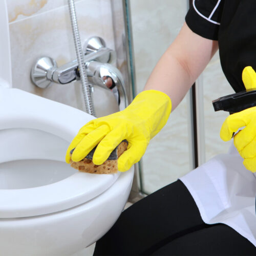 rengoering-af-dit-toilet-i-bunden