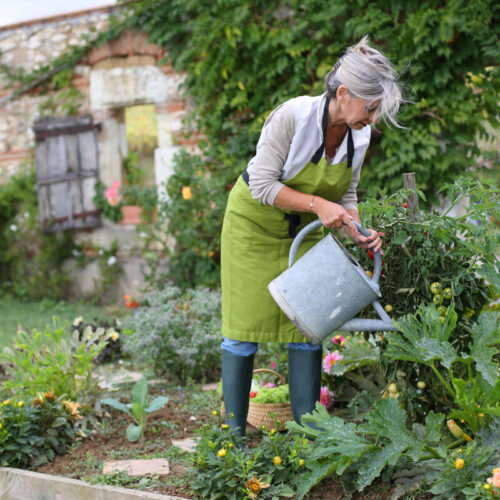 3-tips-til-indretning-af-haven