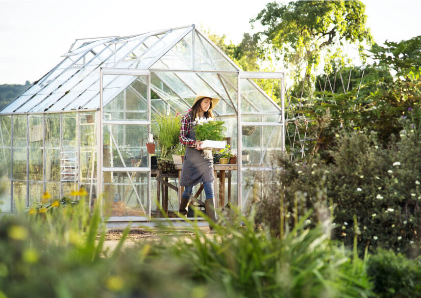 drivhus-vedligeholdelse-og-plantetyper