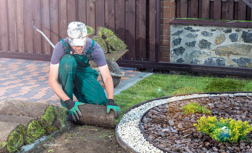 saadan-vedligeholder-du-din-have