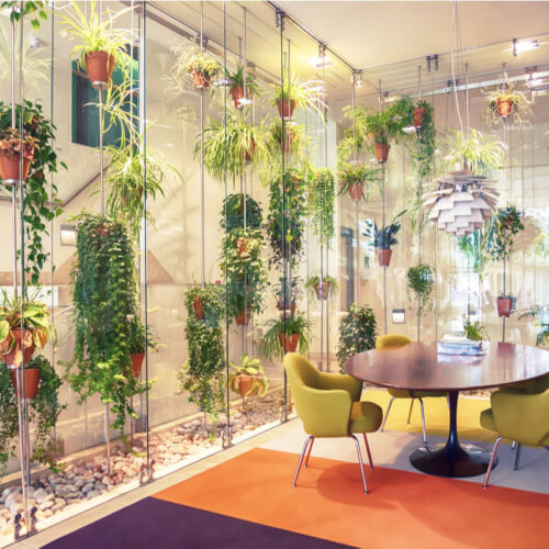 faa-planteservice-til-arbejdspladsen