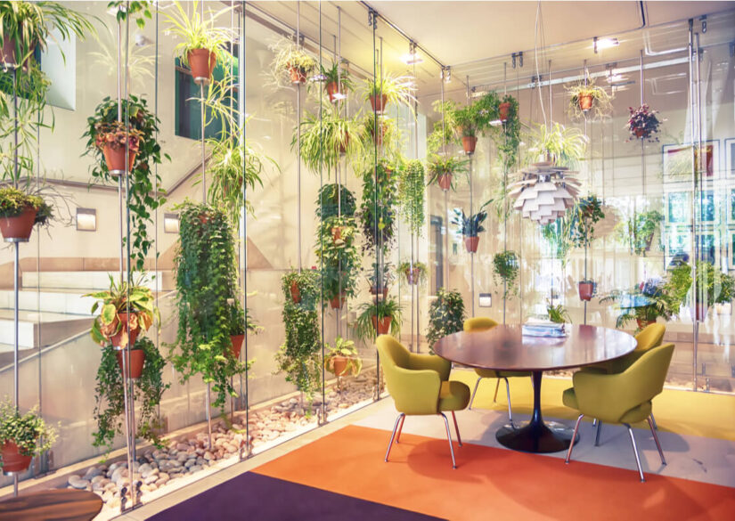 faa-planteservice-til-arbejdspladsen