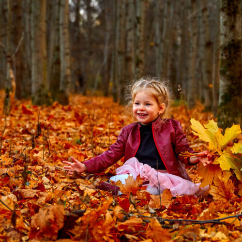 giv-dit-hjem-en-efteraarsstemning