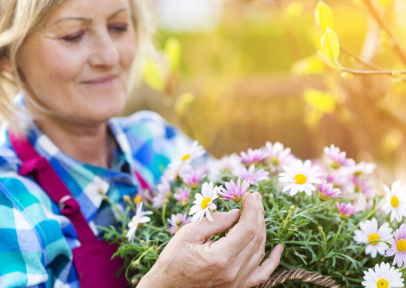 derfor-skal-du-overveje-vikarservice