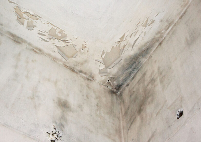 husk-dette-inden-du-maler-skaden-over