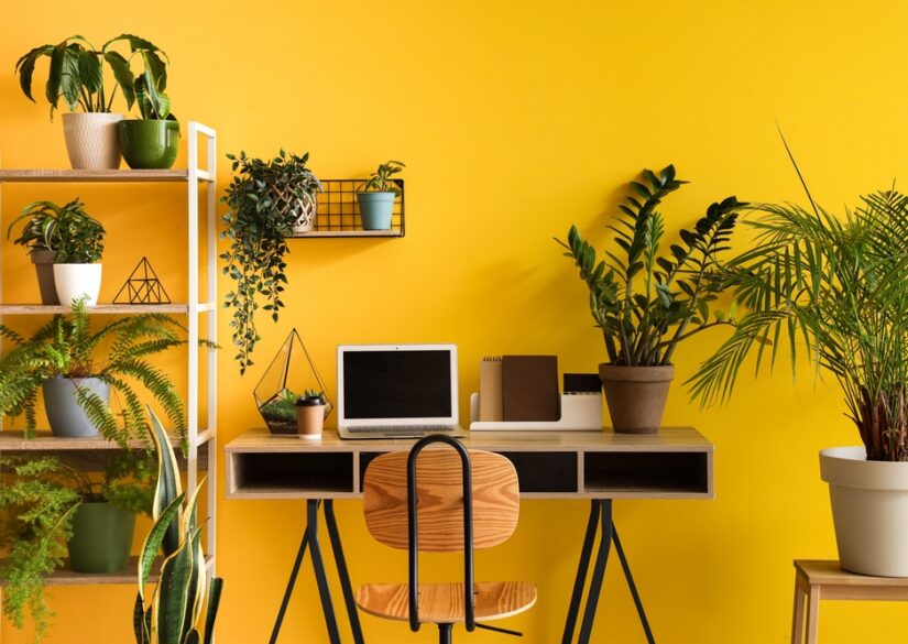 snedker-interioer-haandlavet-kvalitet-til-hjemmet-og-virksomheden