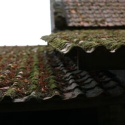 er-tagpap-den-billigste-tagloesning