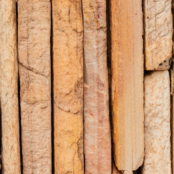 traepiller-en-moderne-og-baeredygtig-energiloesning